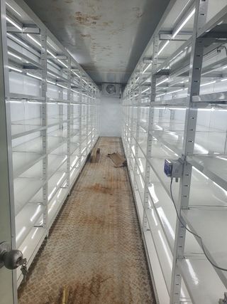 맥문동 천문동님의 작성글 사진