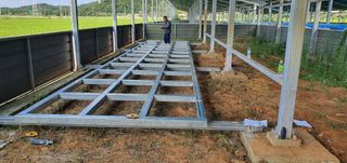 맥문동 천문동님의 작성글 사진