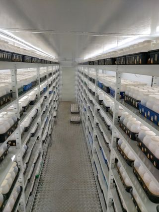 맥문동 천문동님의 작성글 사진