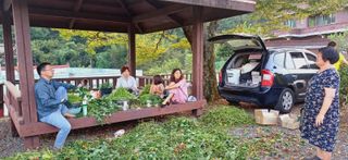 이수용님의 고구마 · 영농일지 작성글 사진