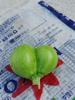 숲속의사나이님의 자유주제 · 자유게시판 작성글 사진