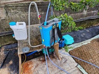 뿡뿡농장님의 들깨 · 영농일지 작성글 사진