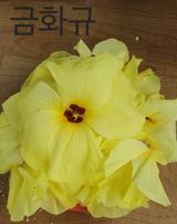 팜모닝 자유주제·사진전 게시글 이미지