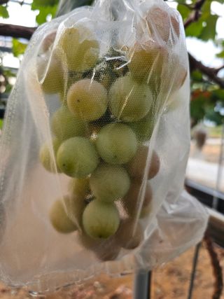 이재혁님의 자유주제 · 자유게시판 작성글 사진