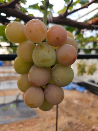 이재혁님의 자유주제 · 자유게시판 작성글 사진