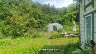 꿈사랑님의 포도 · 영농일지 작성글 사진