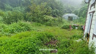 꿈사랑님의 포도 · 영농일지 작성글 사진