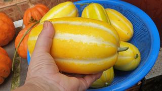 농부아내님의 나의 농사 애장품을 자랑해요 · 참여글 작성글 사진