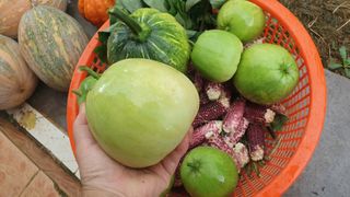 농부아내님의 나의 농사 애장품을 자랑해요 · 참여글 작성글 사진