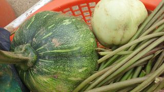 농부아내님의 나의 농사 애장품을 자랑해요 · 참여글 작성글 사진