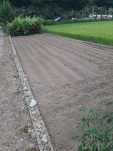 팜모닝 자유주제·자유게시판 게시글 이미지