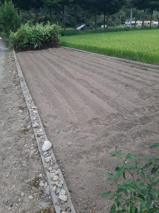 강물처럼님의 자유주제 · 자유게시판 작성글 사진