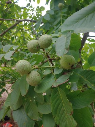 강물님의 자유주제 · 자유게시판 작성글 사진