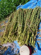 팜모닝 자유주제·사진전 게시글 이미지