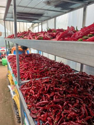 최광순님의 자유주제 · 사진전 작성글 사진