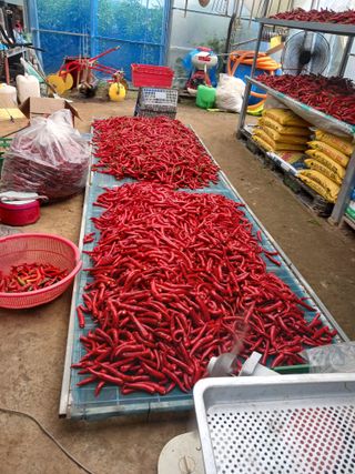 최광순님의 자유주제 · 사진전 작성글 사진