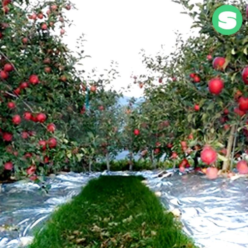 장터 상품 [반사필름 PET필름 ] 썸네일