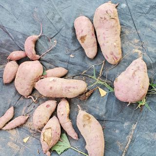 정연섭님의 자유주제 · 자유게시판 작성글 사진