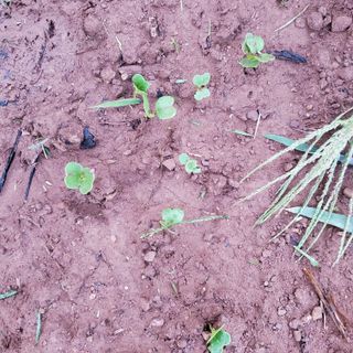 정연섭님의 자유주제 · 자유게시판 작성글 사진