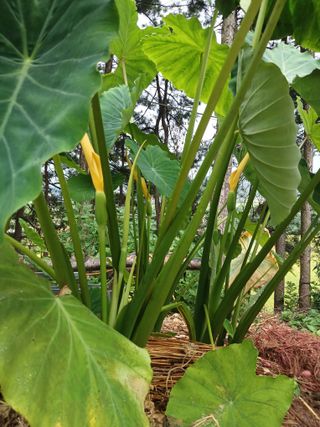 전국하님의 자유주제 · 자유게시판 작성글 사진