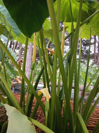 전국하님의 자유주제 · 자유게시판 작성글 사진