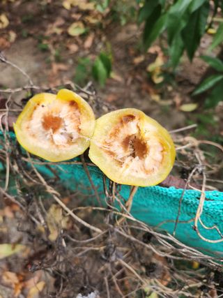 농군님의 자유주제 · 자유게시판 작성글 사진