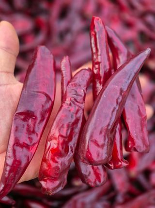 박무순님의 작성글 사진