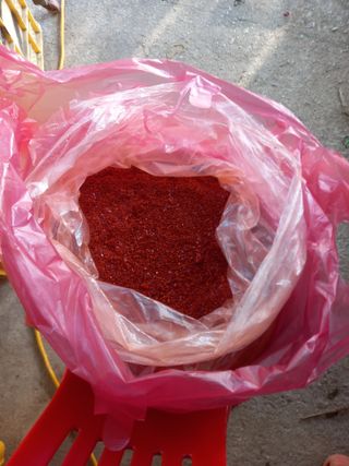 주말부부농사꾼님의 고추 · 영농일지 작성글 사진