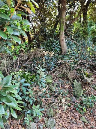 새달귤농장님의 귤 · 영농일지 작성글 사진