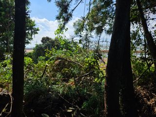 새달귤농장님의 귤 · 영농일지 작성글 사진