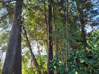 새달귤농장님의 귤 · 영농일지 작성글 사진