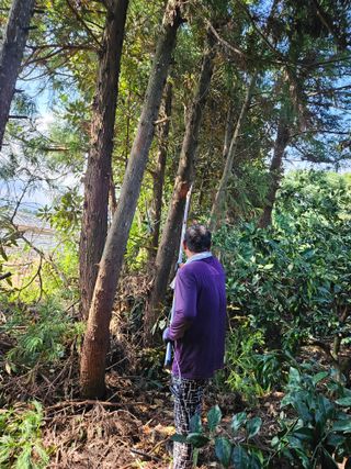 새달귤농장님의 귤 · 영농일지 작성글 사진