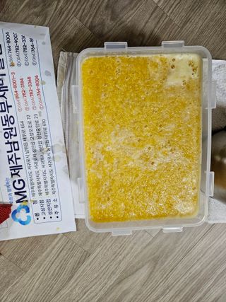 새달귤농장님의 귤 · 영농일지 작성글 사진