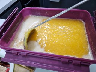 새달귤농장님의 귤 · 영농일지 작성글 사진