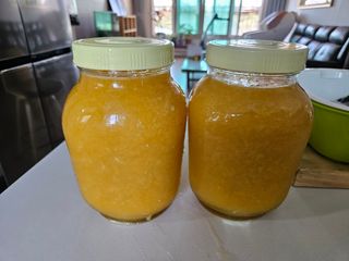 새달귤농장님의 귤 · 영농일지 작성글 사진