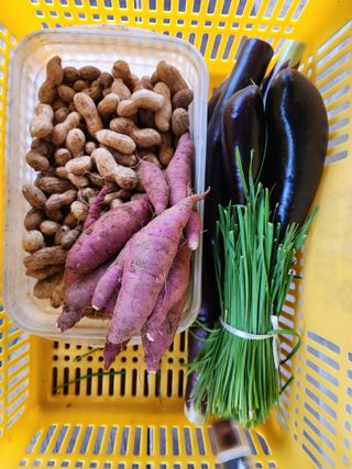 김영옥님의 자유주제 · 사진전 작성글 사진