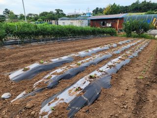 김영옥님의 자유주제 · 사진전 작성글 사진