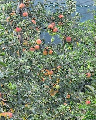 김영옥님의 자유주제 · 사진전 작성글 사진