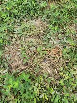 팜모닝 자유주제·자유게시판 게시글 이미지