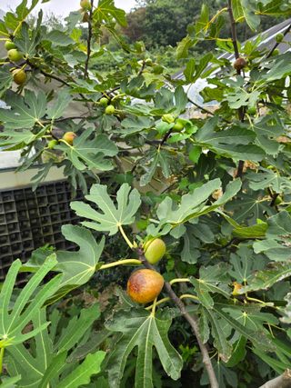 김희영님의 자유주제 · 자유게시판 작성글 사진