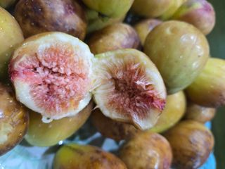 김희영님의 자유주제 · 자유게시판 작성글 사진