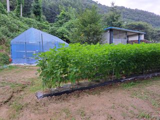 김연수님의 나의 농사 애장품을 자랑해요 · 참여글 작성글 사진