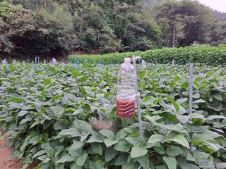 김연수님의 나의 농사 애장품을 자랑해요 · 참여글 작성글 사진