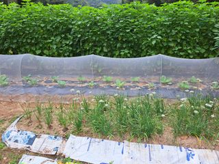 김연수님의 나의 농사 애장품을 자랑해요 · 참여글 작성글 사진