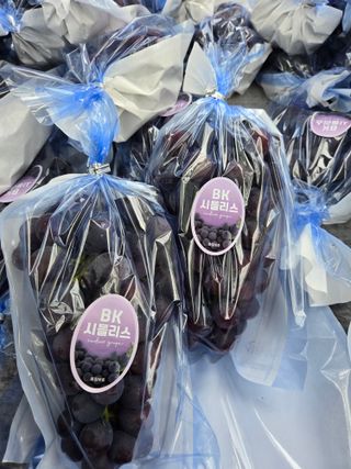 동동예행복농장님의 포도 · 영농일지 작성글 사진