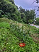 팜모닝 자유주제·자유게시판 게시글 이미지