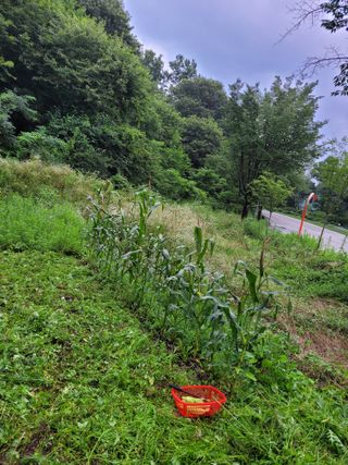 백형석님의 자유주제 · 자유게시판 작성글 사진