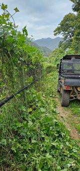 팜모닝 자유주제·자유게시판 게시글 이미지