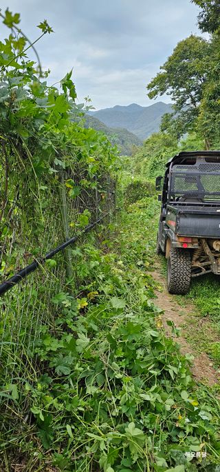 해오름달님의 자유주제 · 자유게시판 작성글 사진