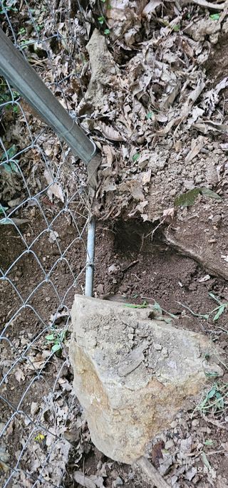 해오름달님의 자유주제 · 자유게시판 작성글 사진